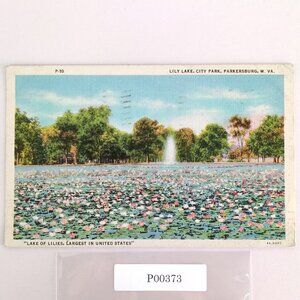Lily Lake City Park Parkersburg West Virginia 1946 Linen Postcard Lake of Lilies